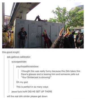 Homestuck Funny Porn - Will the real Dirk Strider please get down . Don't ship stridercest but  this is funny<<><>><. I DOOKO