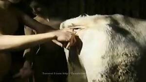 latina chicks fucking monkeys - latina chicks and monkeys