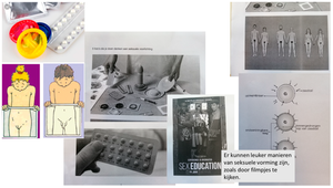 Dutch Sex Education - IJERPH | Free Full-Text | 'Sex Is Not Just about Ovaries.' Youth  Participatory Research on Sexuality Education in The Netherlands