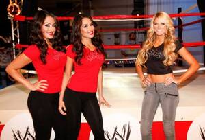 Bella Twins Farm Girl Porn - WWE's Bella twins used to pay the bills at Hooters â€“ now they're worth $12m  and own matching LA mansions & lingerie line | The US Sun