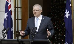 Master Davey Porn Arabia - Arab countries discuss 'Australia situation' after recognition of West  Jerusalem | Australian politics | The Guardian