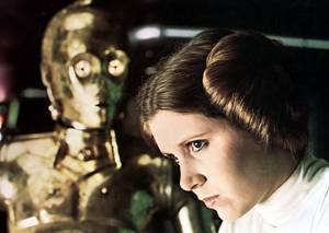 Candice Harris Porn - Slide Show|13 Photos