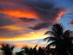 Barbados Sugar Porn - Second Chances Barbados sunset