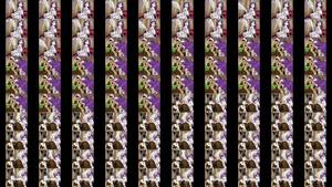 Arbok Face Sitting Porn - 