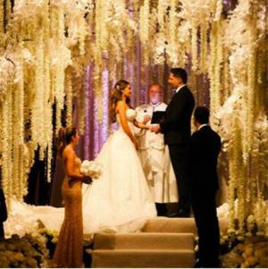 Italian Wedding Matrimonio Particolare Porn - Sofia Vergara