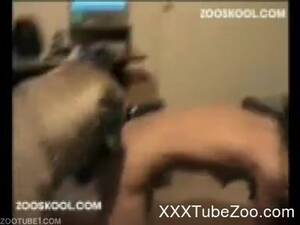 Brutal Bestiality Porn - Brutal bestiality banging in front of spectators