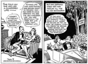Non Sequitur Comic Strip Porn - Cartoon panels[edit]