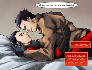 Dc Cerci Porn Comic - DeviantArt: More Like jaytim: red hood x catlad by NarciSSai