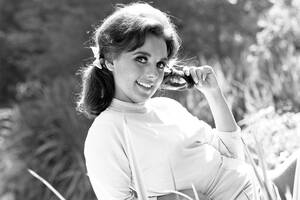dawn wells nude porn cartoon - Celebrity deaths 2020: Obituaries for stars who died this year