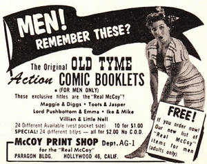 Cartoon Porn Ads - There was all manner of delivery systems for your porn viewing pleasure.  There were little comic books: