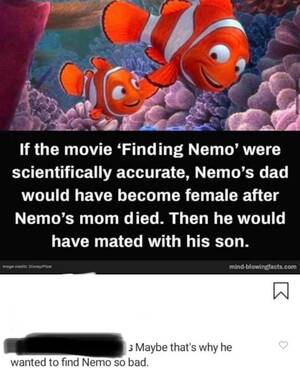Finding Nemo Porn Female - An interesting title : r/cursedcursedcomments