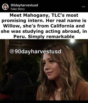 Ashley Tisdale Pornhub - Seen on IG. Thoughts? : r/90dayfianceuncensored