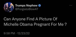 Michelle Obama Porn Captions Shemale - Such a weird obsession : r/WhitePeopleTwitter