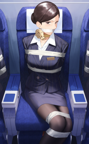 Airplane Bondage Porn - Cartoon Flight Attendant Bondage | BDSM Fetish