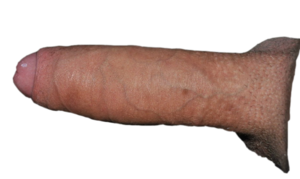 hardcore huge dick fucking png - Big cock PNG | MOTHERLESS.COM â„¢