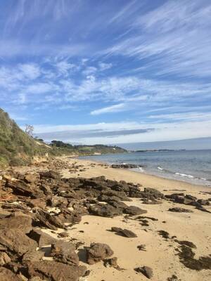 naked beach stripping - Nude bathers wary of 'creeps' patrolling Sunnyside North beach | by Phoebe  Hosier | Medium