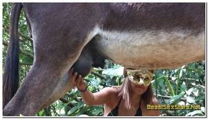 Donkey Bestiality Porn - Alison - Donkey Booty Archives â‹† Beastiality.Club