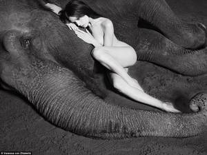 circus erotica - Model poses naked with circus elephants in stunning images
