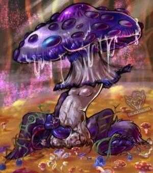 Mushroom - Rule34 - If it exists, there is porn of it / mushroom_glans