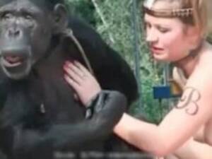 Chimpanzees Fucking Sexy Girls - Monkey porn - Zoo Xvideos
