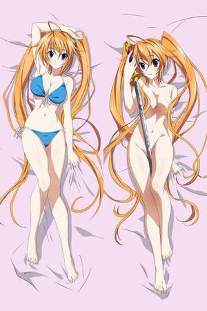 Body Pilows Anime Porn - High School DxD Dakimakura - Irina