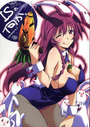 Cat Costume Infinite Stratos Porn - Good anime artbook from IS (Infinite Stratos) uploaded by sanada - Tabane  Shinonono