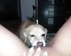 Bleeding Pussy - Teen bleeding pussy - Extreme Porn Video - LuxureTV