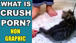 Crush Porn - NON GRAPHIC* What is Crush Porn? - YouTube