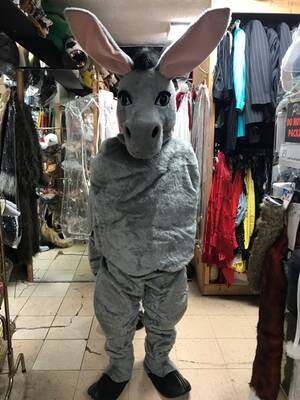 Donkey Costume Porn - Adult Rental Mascot Costume | Donkey/Two Person