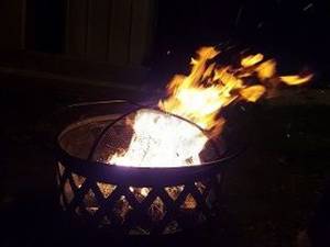 Gypsy Moth Porn - ... Moving Firewood in Wisconsin- Emerald Ash Borer and Gypsy Moth  Quarantines Throughout Wisconsin-0 ...