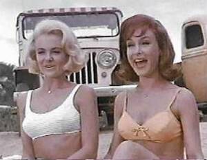 Barbara Eden - Tom Lisanti's - Sixties Cinema