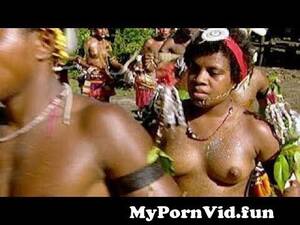 African Jungle Sex - south africa forest lifestyle I jungle Live Stream from jogli sex Watch  Video - MyPornVid.fun