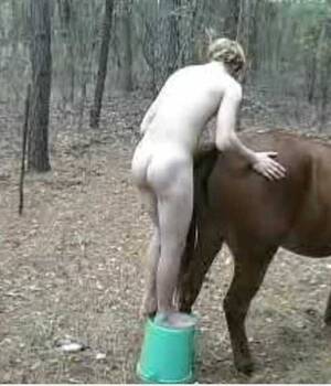 Deer Fucks Lady Porn - Deer fucks girl . New porn. Comments: 1