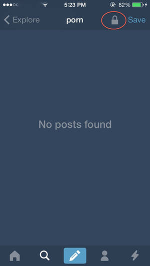 Good Tumblr Porn - Tumblr's updated iOS app settings