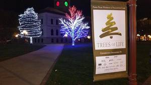 Adventure Time Breezy Porn - Breezy sonic porn - Cruel intentions sex jpg 1080x607