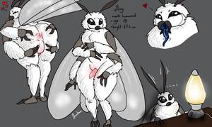 Anthro Insect Porn - Rule 34 - 1boy animal genitalia antennae anthro anus big ass black eyes  femboy furry humanoid insect boy insect humanoid lamp male male only moth  moth boy phantomas(artist) solo white fur wide