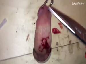Cock Cut Off - Masochist man cut off his cock - LuxureTV