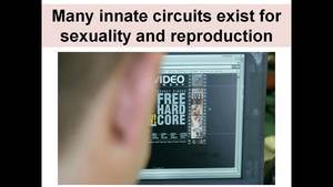 Anatomically Correct Porn Cub - 