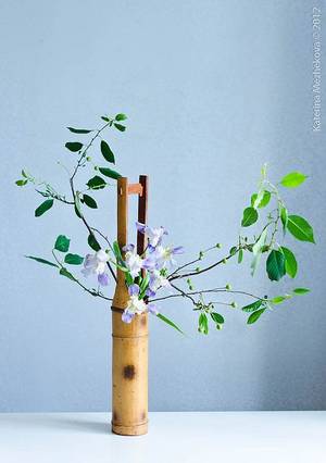 japanese nude ikebana - Bonsai, Ikebana Japanese flower arrangement