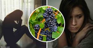 Back To The Future Clara Porn - Berberine, an alkaloid compound found in goldenseal has powerful  antibacterial, antiproliferative, anti-