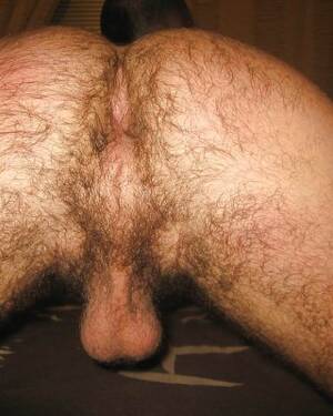 my hairy ass - My hairy ass pics Porn Pictures, XXX Photos, Sex Images #367107 - PICTOA