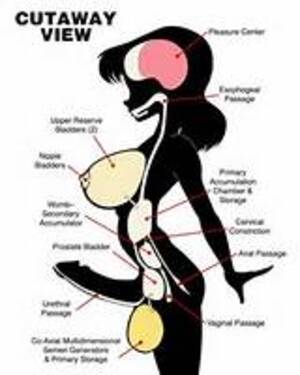 Dora The Explorer Shemale Porn - Dora The Explorer Shemale Porn Comics | Sex Pictures Pass