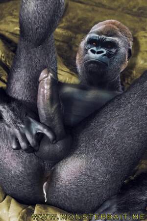 gorilla sex porn - Porn pic image of gorilla having sex. Sex top pictures free site.