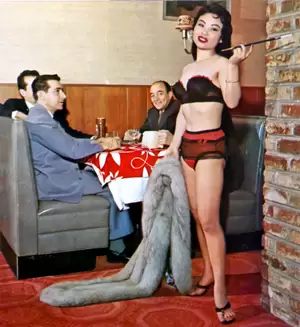 1960s Slip And Panty Porn - Vintage Panties Pics: Free Classic Nudes â€” Vintage Cuties