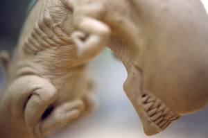 Ellen Ripley Facehugger Porn - maxresdefault