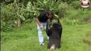 latina chicks fucking monkeys - monkey Animal Porn