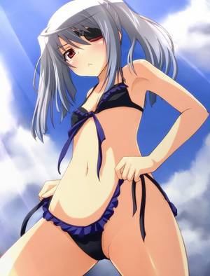 Cat Costume Infinite Stratos Porn - infinite stratos