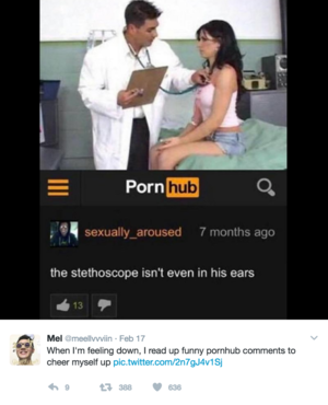 Funniest Porn Captions - 22 Times Pornhub Comments Were Unexpectedly Wonderful