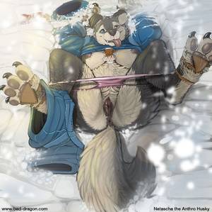 Anatomically Correct Fox Pussy - e621 anatomically_correct anatomically_correct_pussy animal_genitalia  animal_pussy anthro anus bad_dragon blue_eyes breasts brown_eyes canine  canine_pussy ...