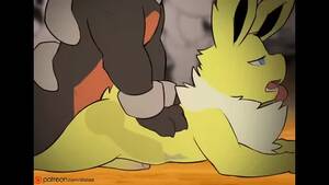 Gay Furry Pokemon Porn - Gay 2D Yiff by Dacad Furry Porn Sex E621 Houndoom fucks Jolteon from Pokemon  r34 Rule34 anal - XXXi.PORN Video